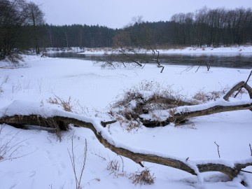 Meander Jarzębieski - ZPK, <p>K. Gara</p>